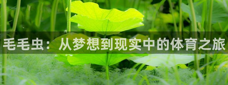 伟德国际平台