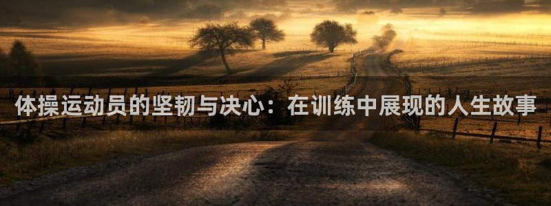 伟德国际登录：体操运动员的坚韧与决心：在训练中展现的人生故事