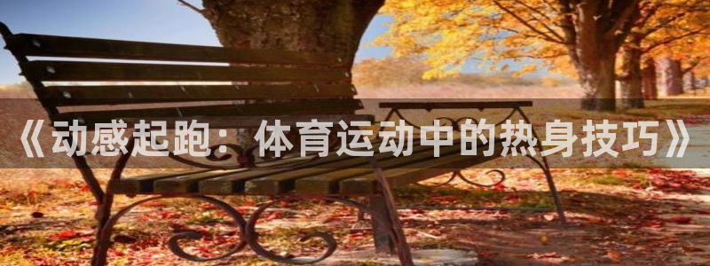 意昂体育3：《动感起跑：体育运动中的热身技巧》