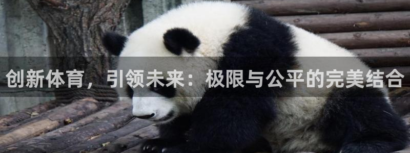 意昂平台登陆