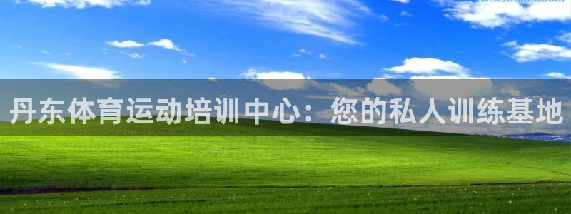 伟德国际平台主管