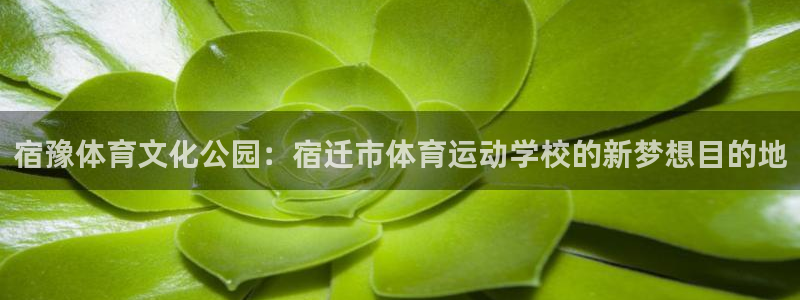 伟德国际零能源集团
