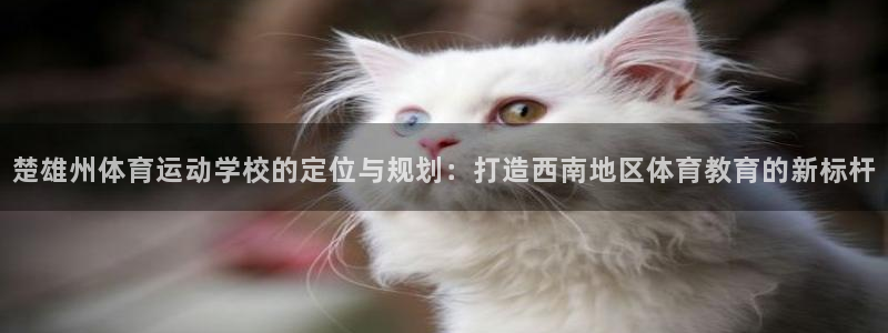 伟德国际4平台：楚雄州体育运动学校的定位与规划：打造西南地区体育教育的新标杆
