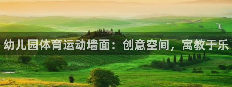 伟德国际主管：幼儿园体育运动墙面：创意空间，寓教于乐