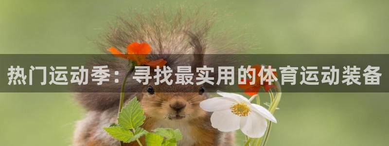 意昂3平台注册：热门运动季：寻找最实用的体育运动装备