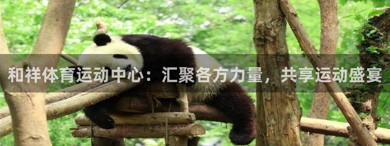 伟德国际包怎么样：和祥体育运动中心：汇聚各方力量，共享运动盛宴