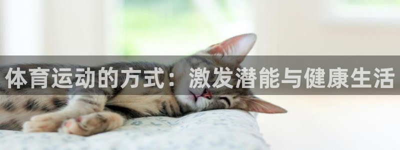 意昂体育2