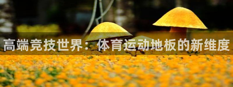 伟德国际凯捷平台：高端竞技世界：体育运动地板的新维度