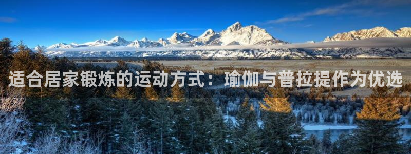 德国伟德国际集团：适合居家锻炼的运动方式：瑜伽与普拉提作为优选