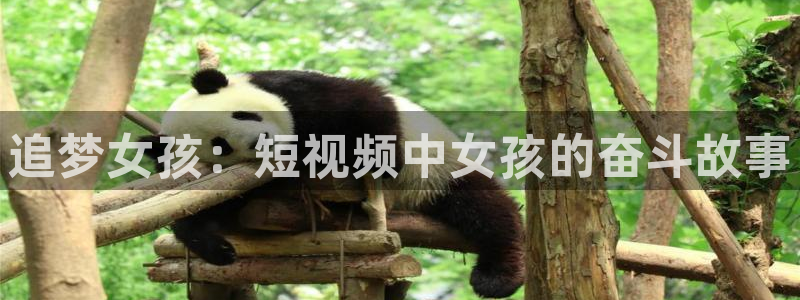 伟德国际f平台注册：追梦女孩：短视频中女孩的奋斗故事