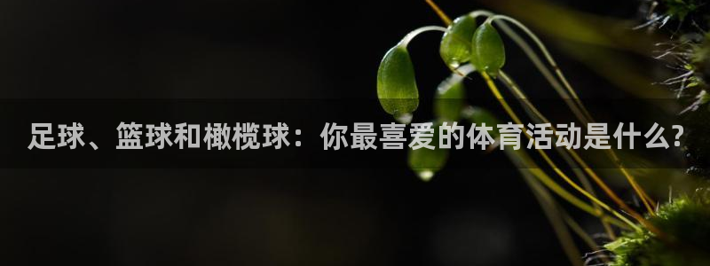 意昂3平台登录注册：足球、篮球和橄榄球：你最喜爱的体育活动是什么?
