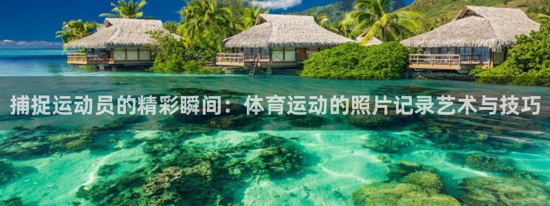 意昂平台注册入口：捕捉运动员的精彩瞬间：体育运动的照片记录艺术与技巧