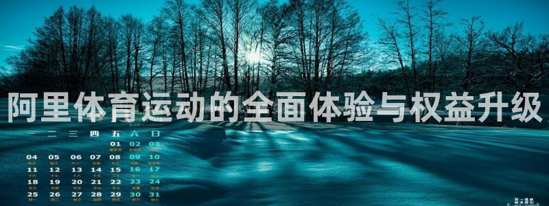 成都意昂电子有限公司：阿里体育运动的全面体验与权益升级