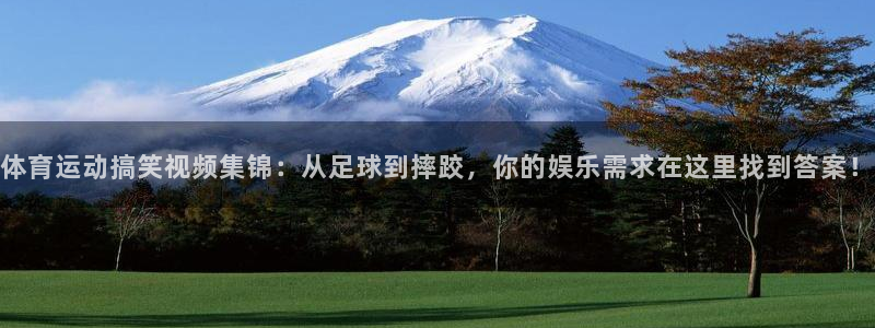 意昂新能源汽车科技有限公司：体育运动搞笑视频集锦：从足球到摔跤，你的娱乐需求在这里找到答案！