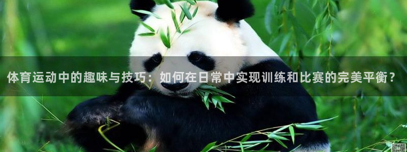 伟德国际凯捷平台注册链接：体育运动中的趣味与技巧：如何在日常中实现训练和比赛的完美平衡？