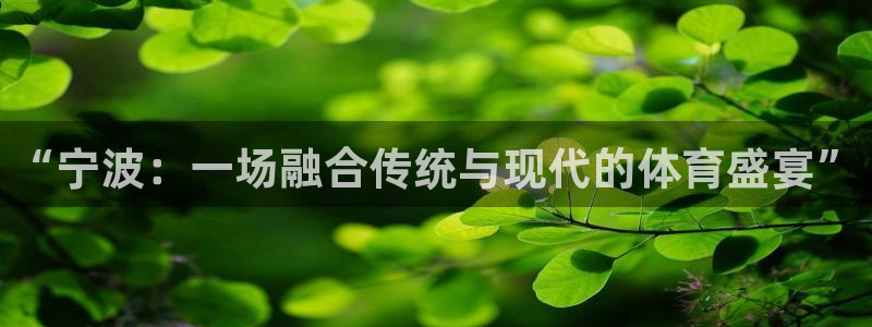 伟德国际体育2：“宁波：一场融合传统与现代的体育盛宴”
