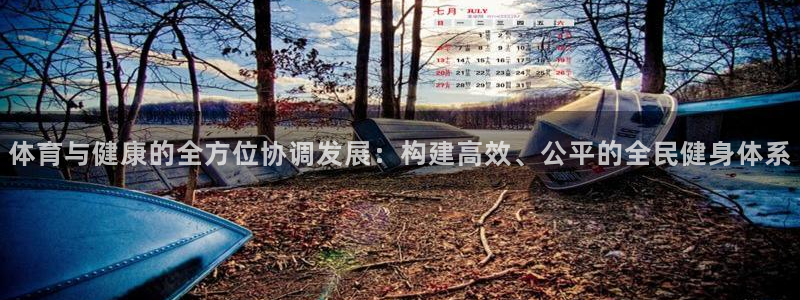 伟德国际凯捷平台注册链接：体育与健康的全方位协调发展：构建高效、公平的全民健身体系
