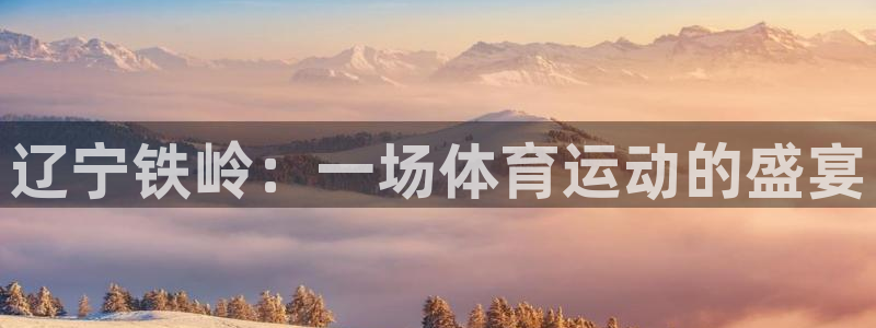 伟德国际3平台注册：辽宁铁岭：一场体育运动的盛宴