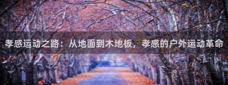 东莞市意昂电子科技有限公司：孝感运动之路：从地面到木地板，孝感的户外运动革命