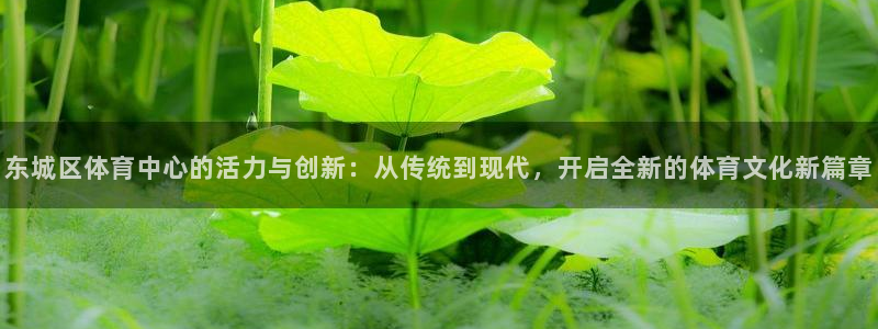 伟德国际集团总部：东城区体育中心的活力与创新：从传统到现代，开启全新的体育文化新篇章
