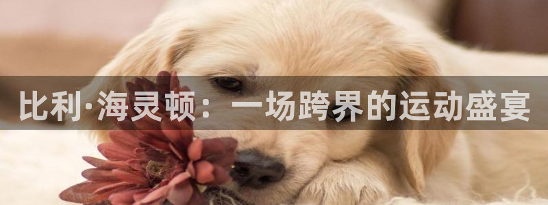 德国伟德国际集团：比利·海灵顿：一场跨界的运动盛宴