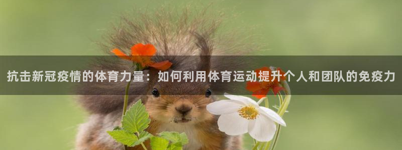 伟德国际体育f开号：抗击新冠疫情的体育力量：如何利用体育运动提升个人和团队的免疫力
