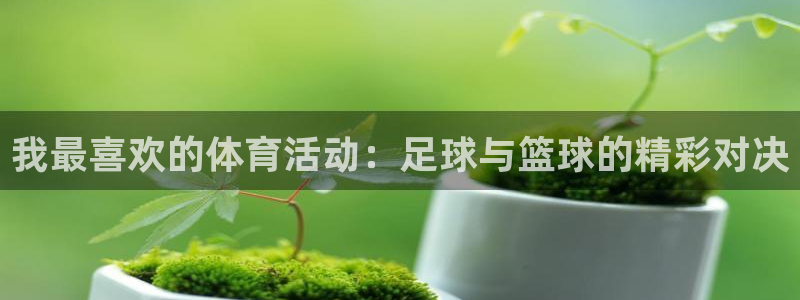 伟德国际4登录：我最喜欢的体育活动：足球与篮球的精彩对决