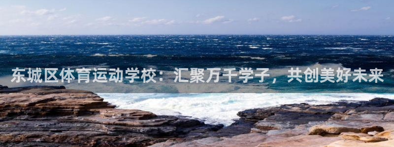 意昂体育注册代理：东城区体育运动学校：汇聚万千学子，共创美好未来
