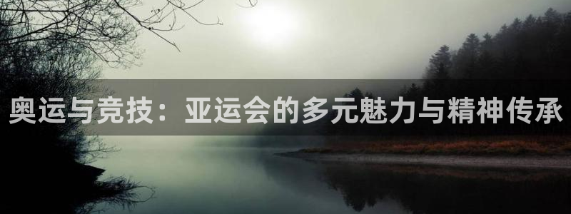 伟德国际注册：奥运与竞技：亚运会的多元魅力与精神传承