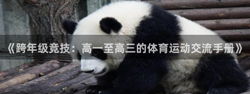 意昂4注册：《跨年级竞技：高一至高三的体育运动交流手册》