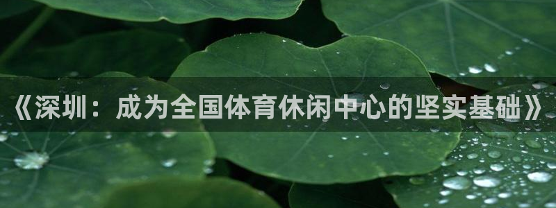 伟德国际3注册：《深圳：成为全国体育休闲中心的坚实基础》