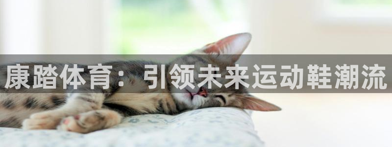伟德国际代理注册官网入口：康踏体育：引领未来运动鞋潮流